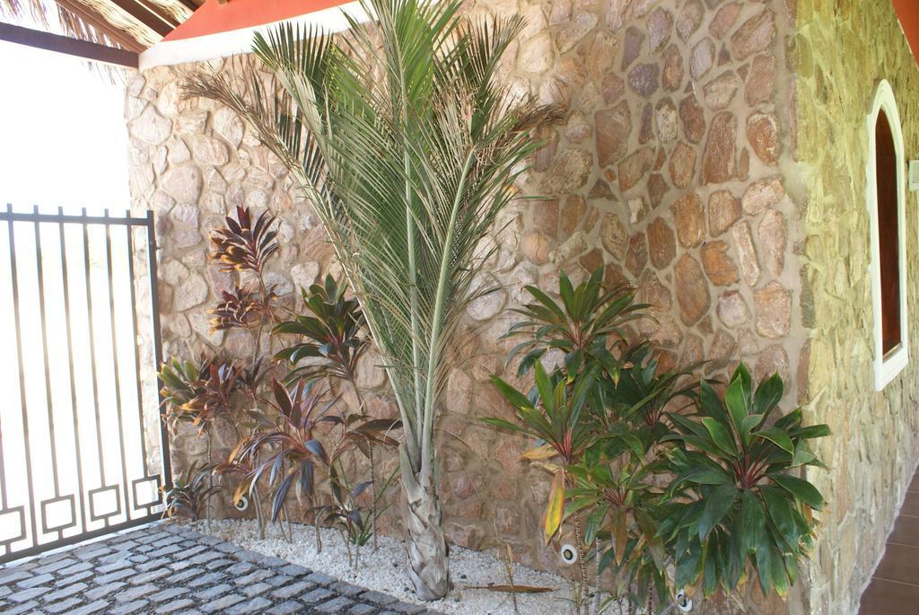 Flat La Fazenda Lägenhet Canoa Quebrada Exteriör bild